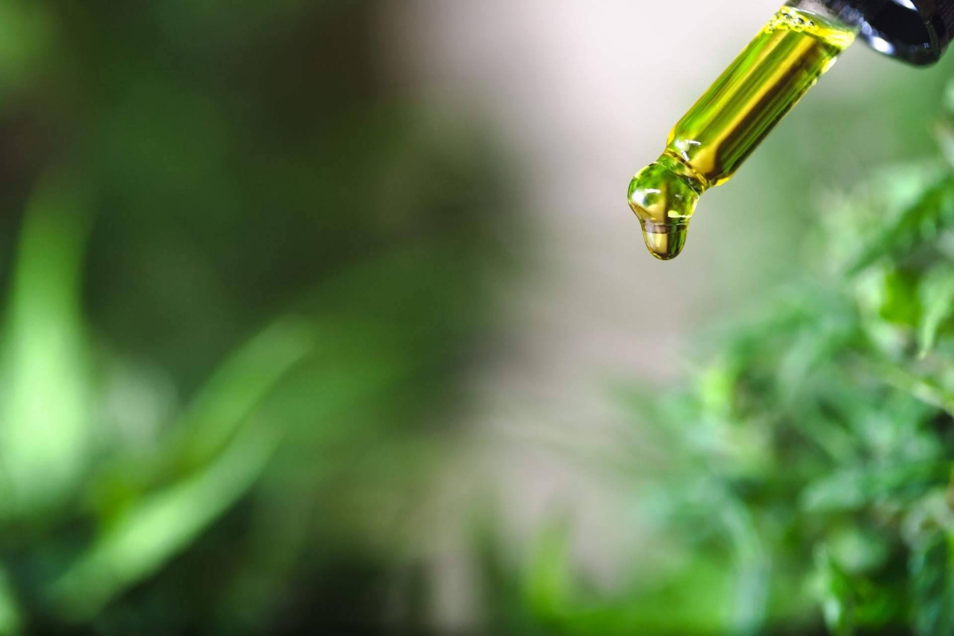 ¿El aceite CBD es útil para tratar molestias musculares? Premium Legal Hemp