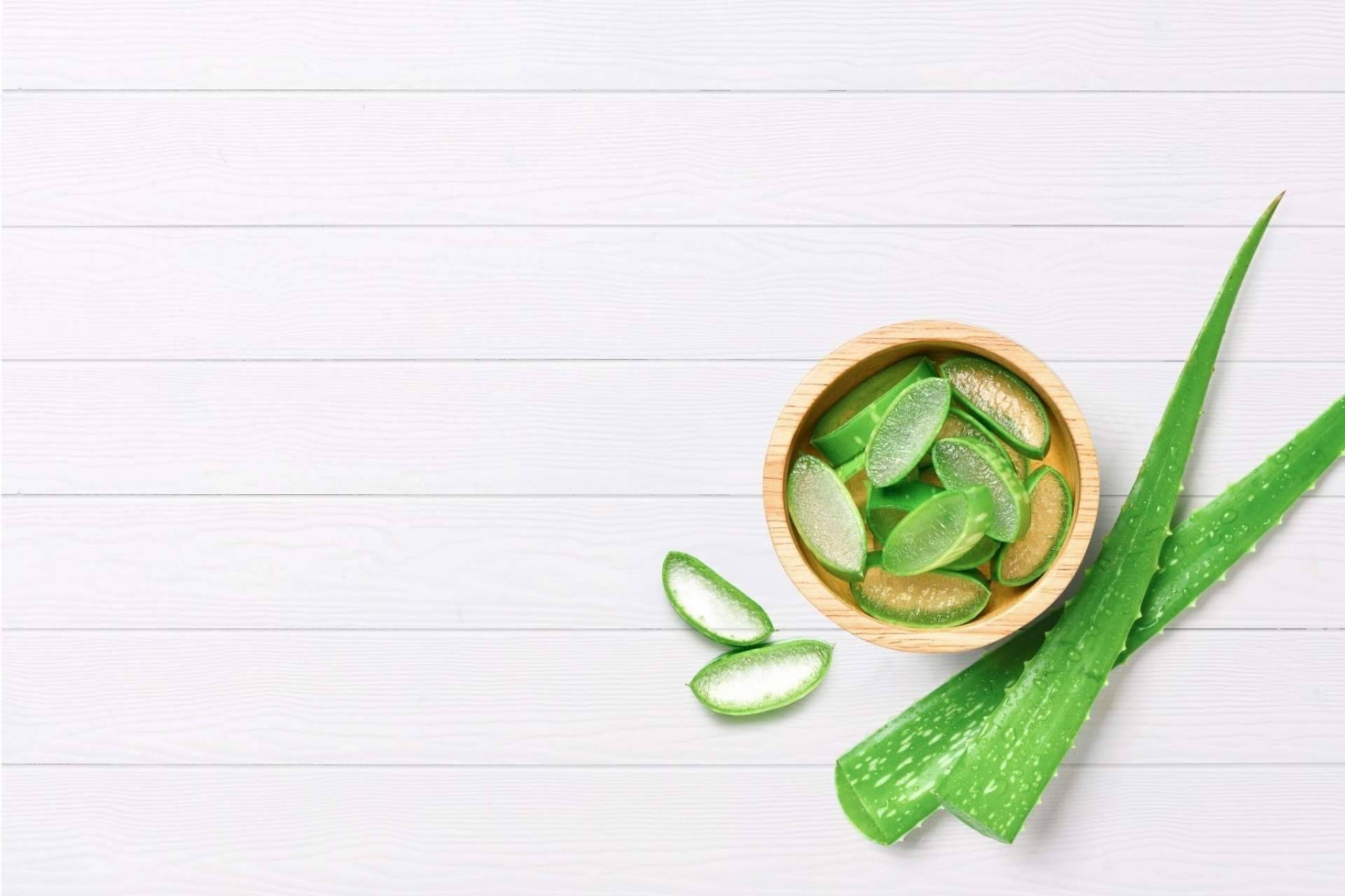 Los clientes pueden disfrutar de las propiedades del aloe vera con TerritorioAloe