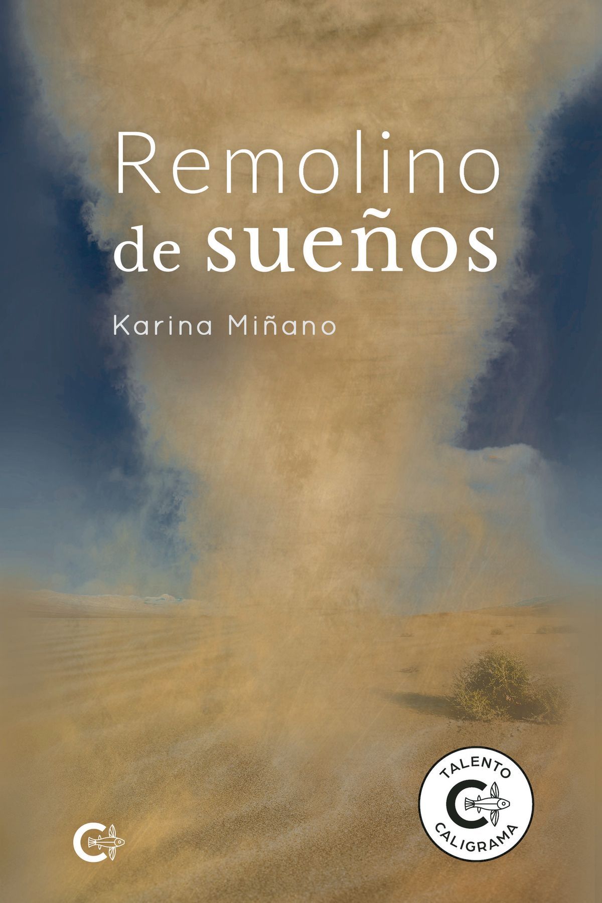 La lucha por la educación y la libertad de las mujeres afganas se proyecta en 'Remolino de sueños'