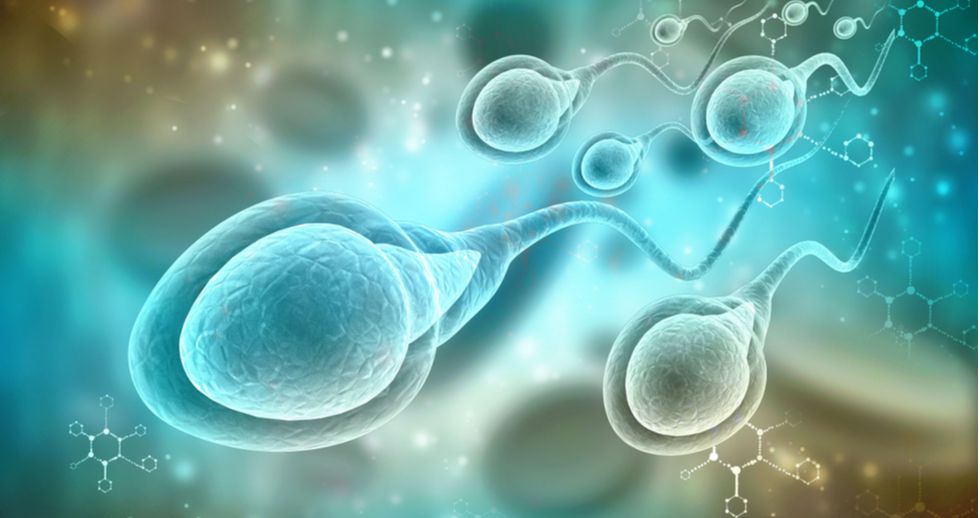 Técnicas que mejoran la calidad de los espermatozoides