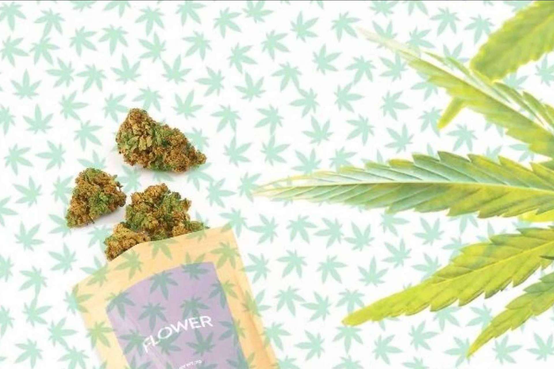 Comprar flores CBD online es posible con CBD Organics