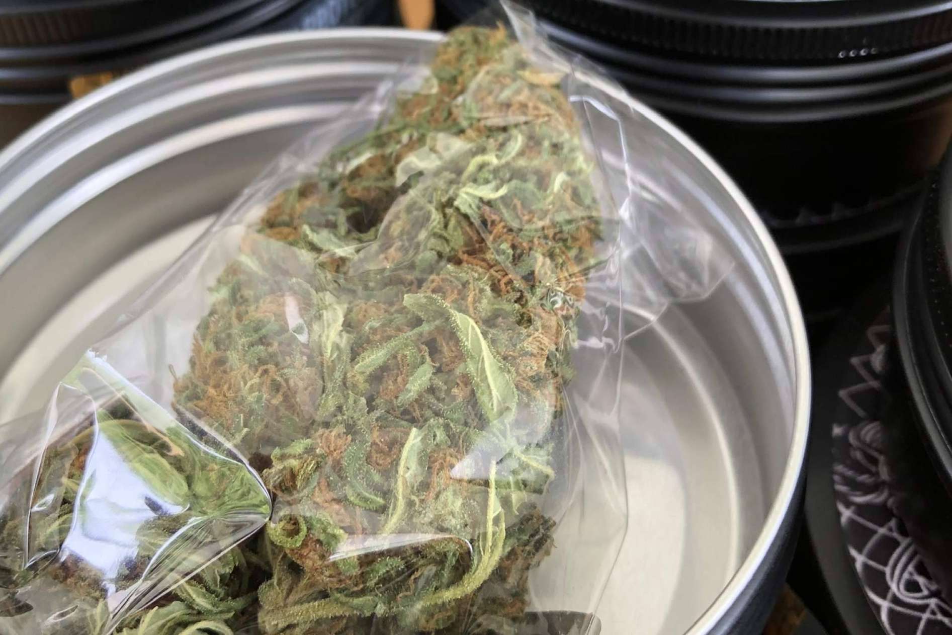 ¿Por qué ha aumentado el cultivo de cáñamo en España?, por La Mal Querida Sativa