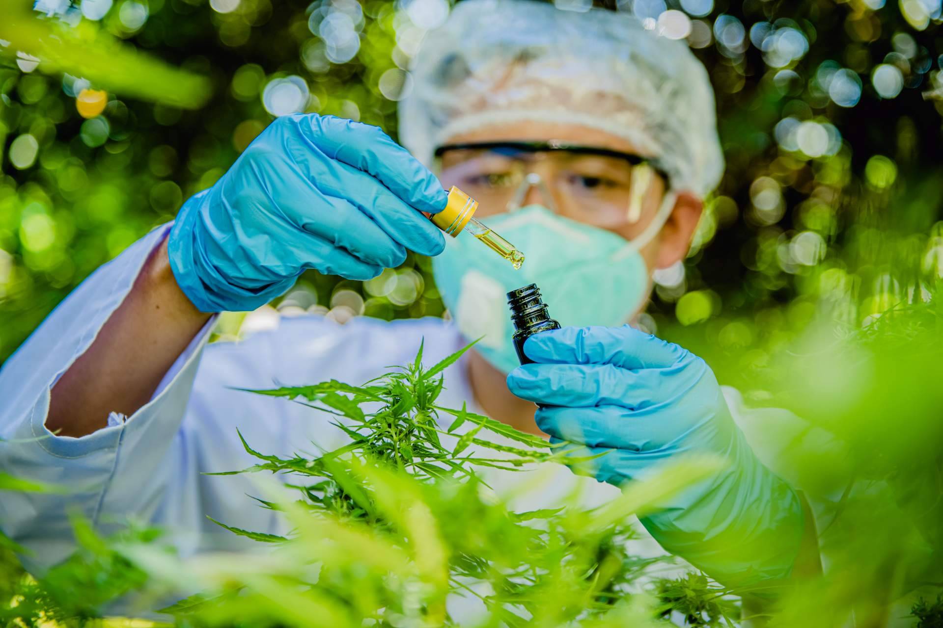 Farma CBD trae el catálogo online más amplio de aceite de cannabidiol