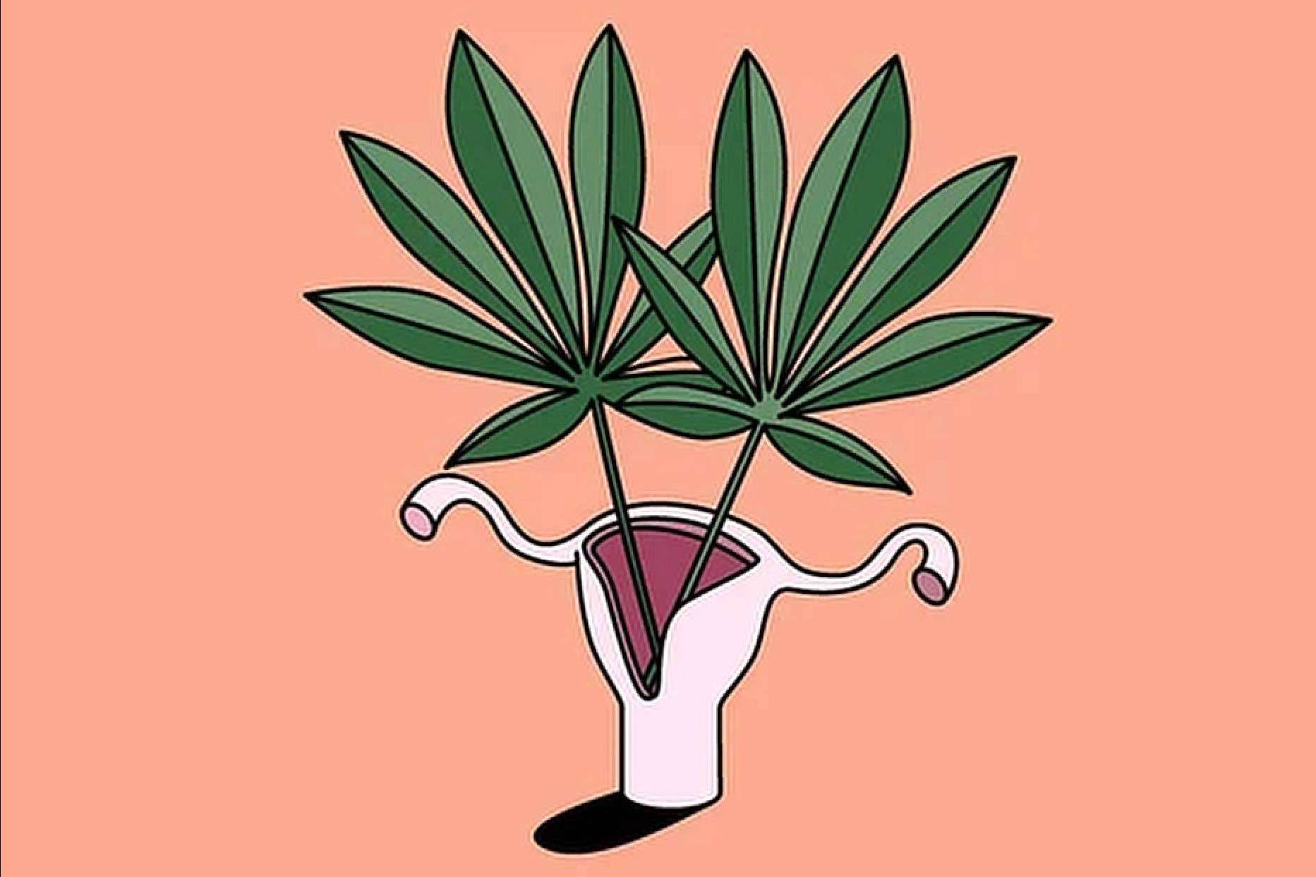 Ezencia, marca de CBD fundada por una mujer emprendedora para combatir su adicción a los fármacos para dormir