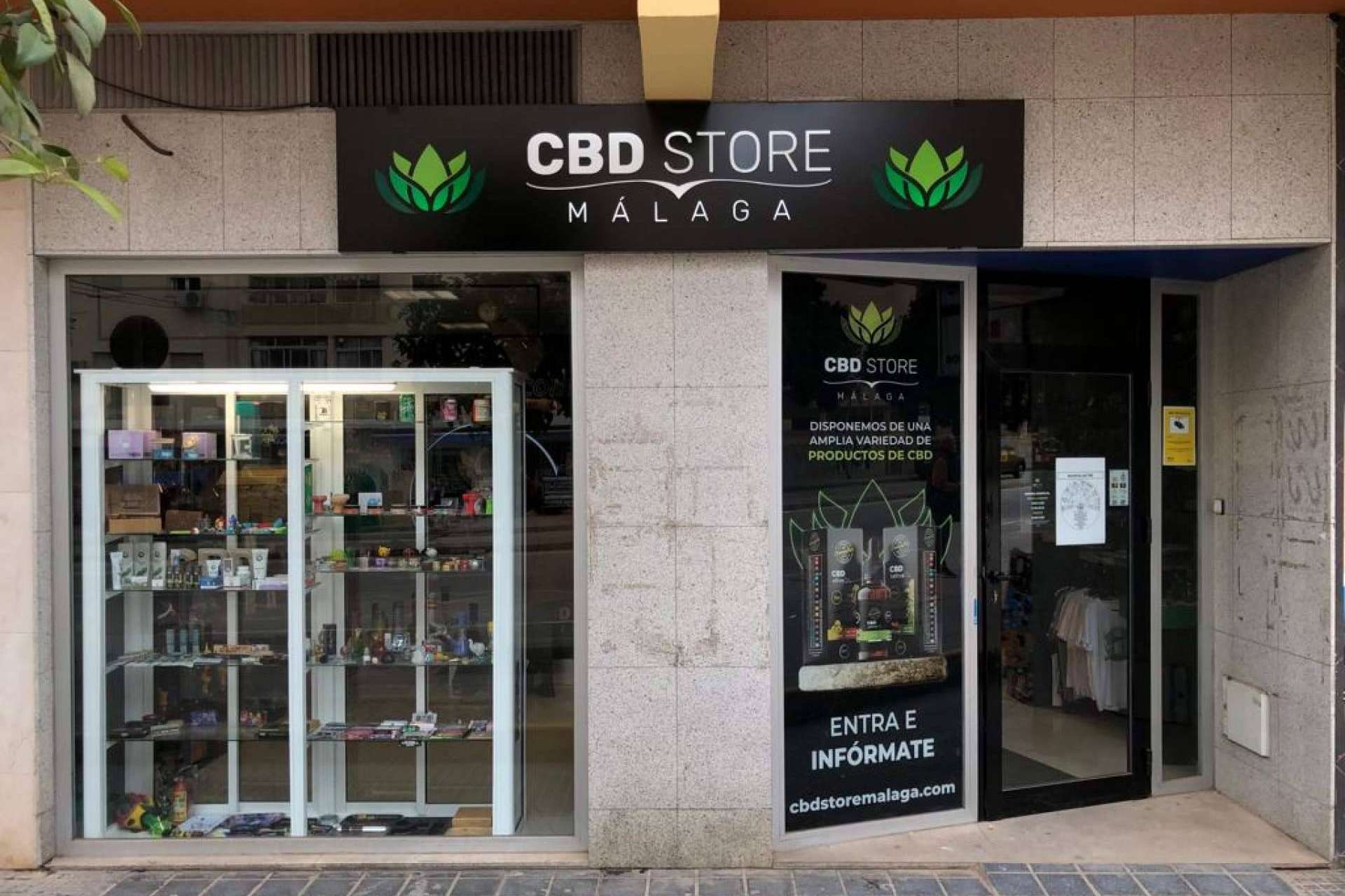 ¿Cuáles son los beneficios que aporta el consumo de CBD al organismo?, por CBD Store Málaga