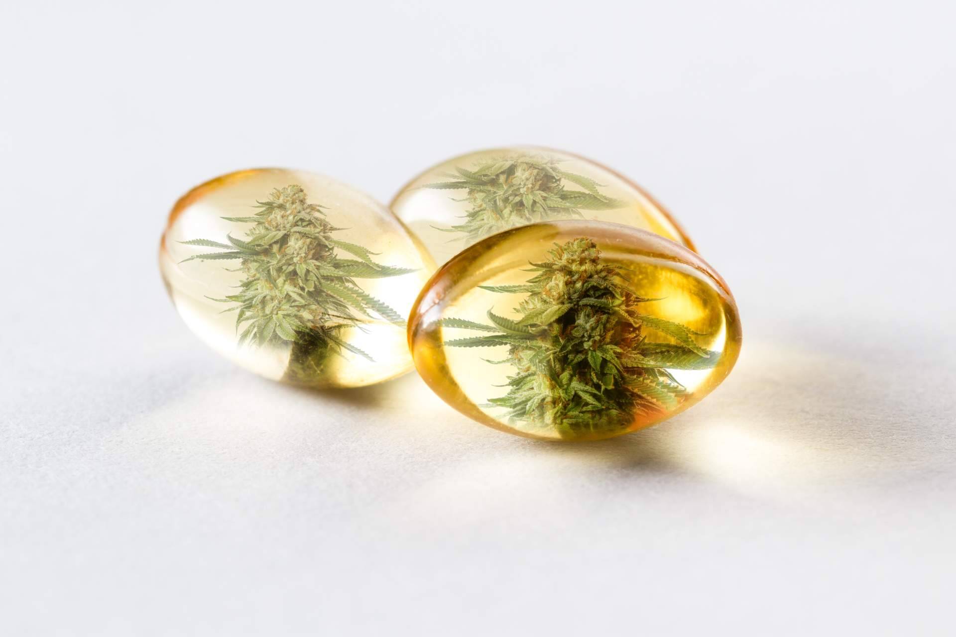 Greengos habla de los beneficios que ofrece el CBD para el deporte