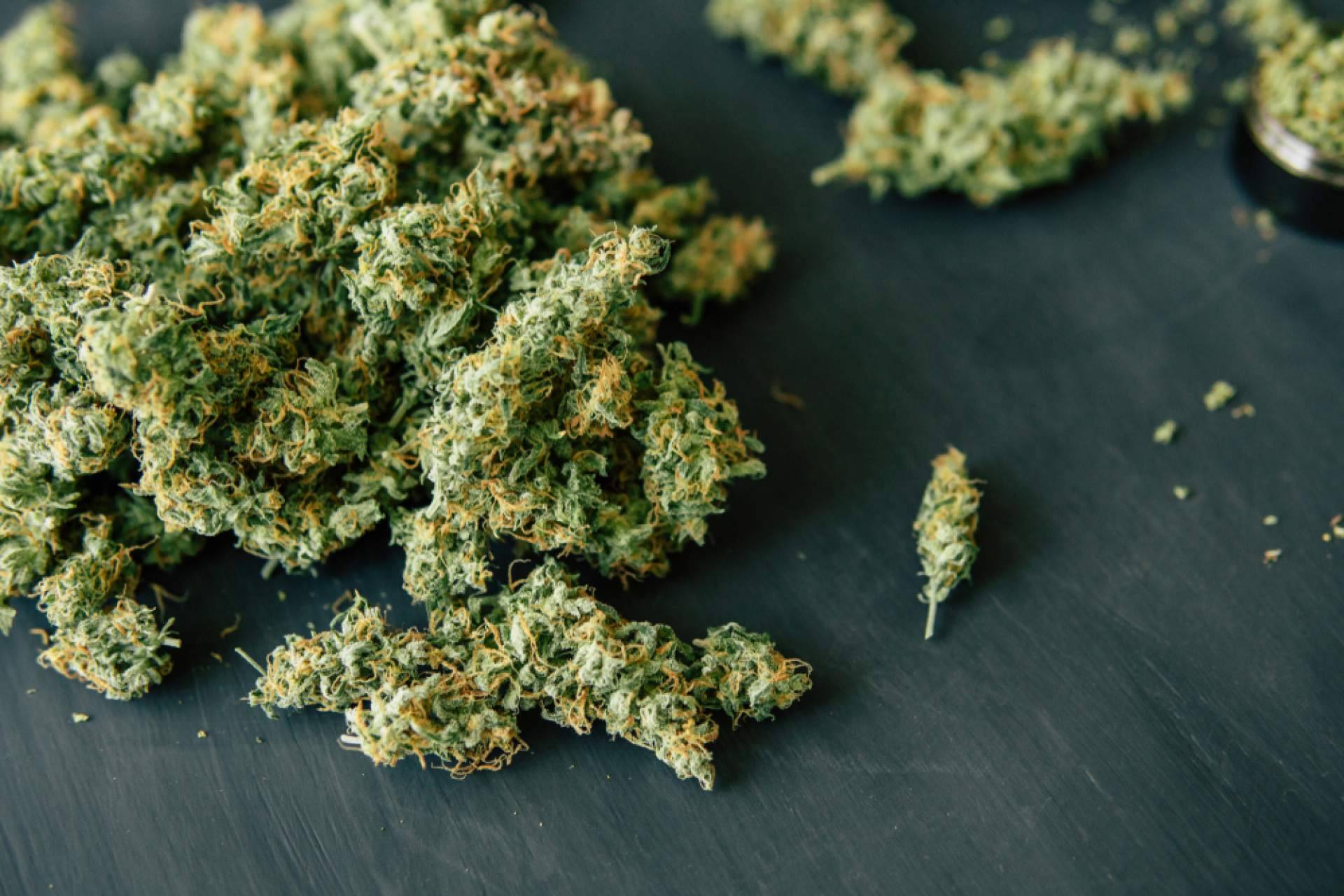 Cannabis Barcelona, el portal informativo sobre la comunidad del cannabis en la ciudad de Barcelona