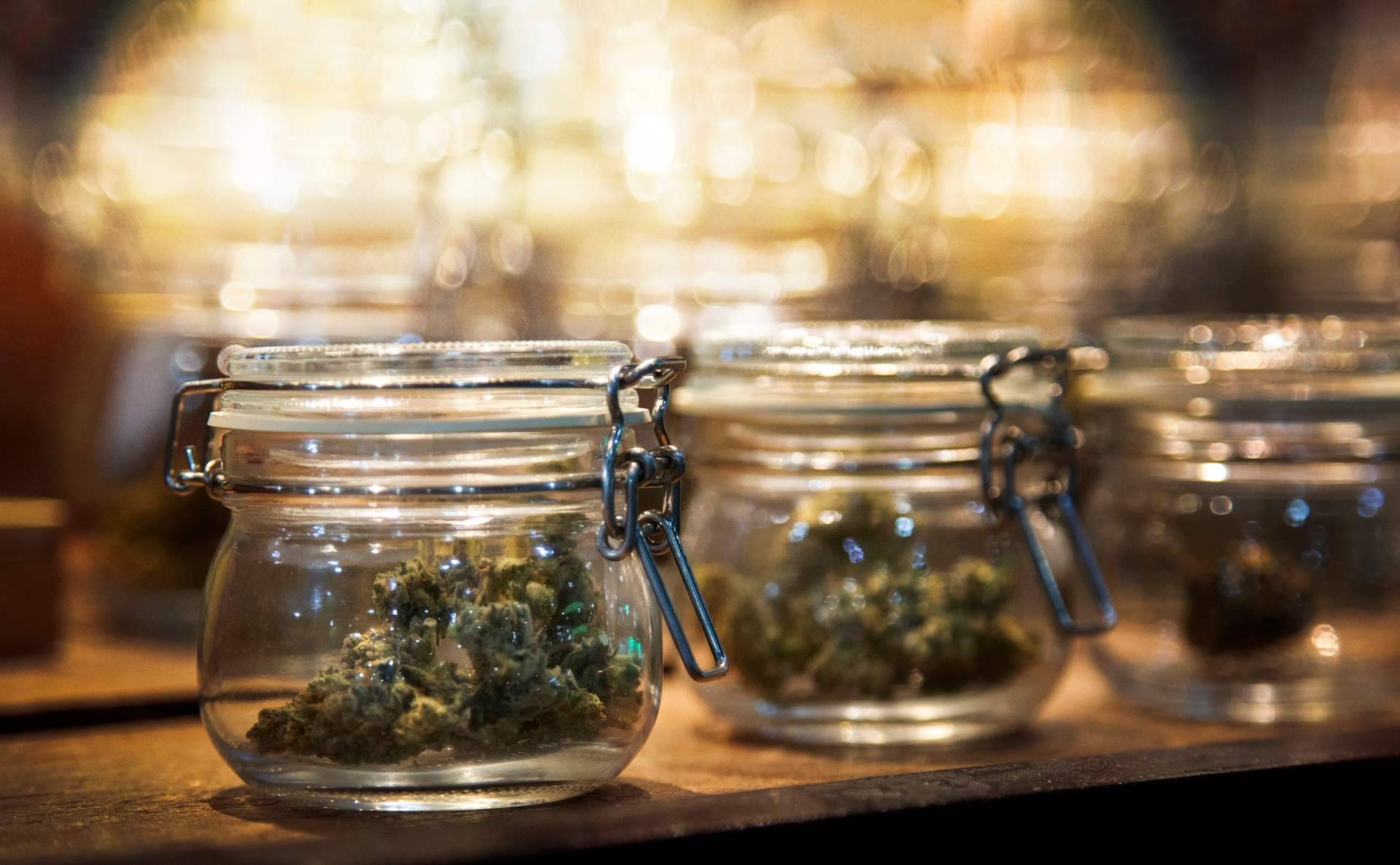 Una de las guías líderes de clubes de cannabis en Barcelona, Cannabis Barcelona