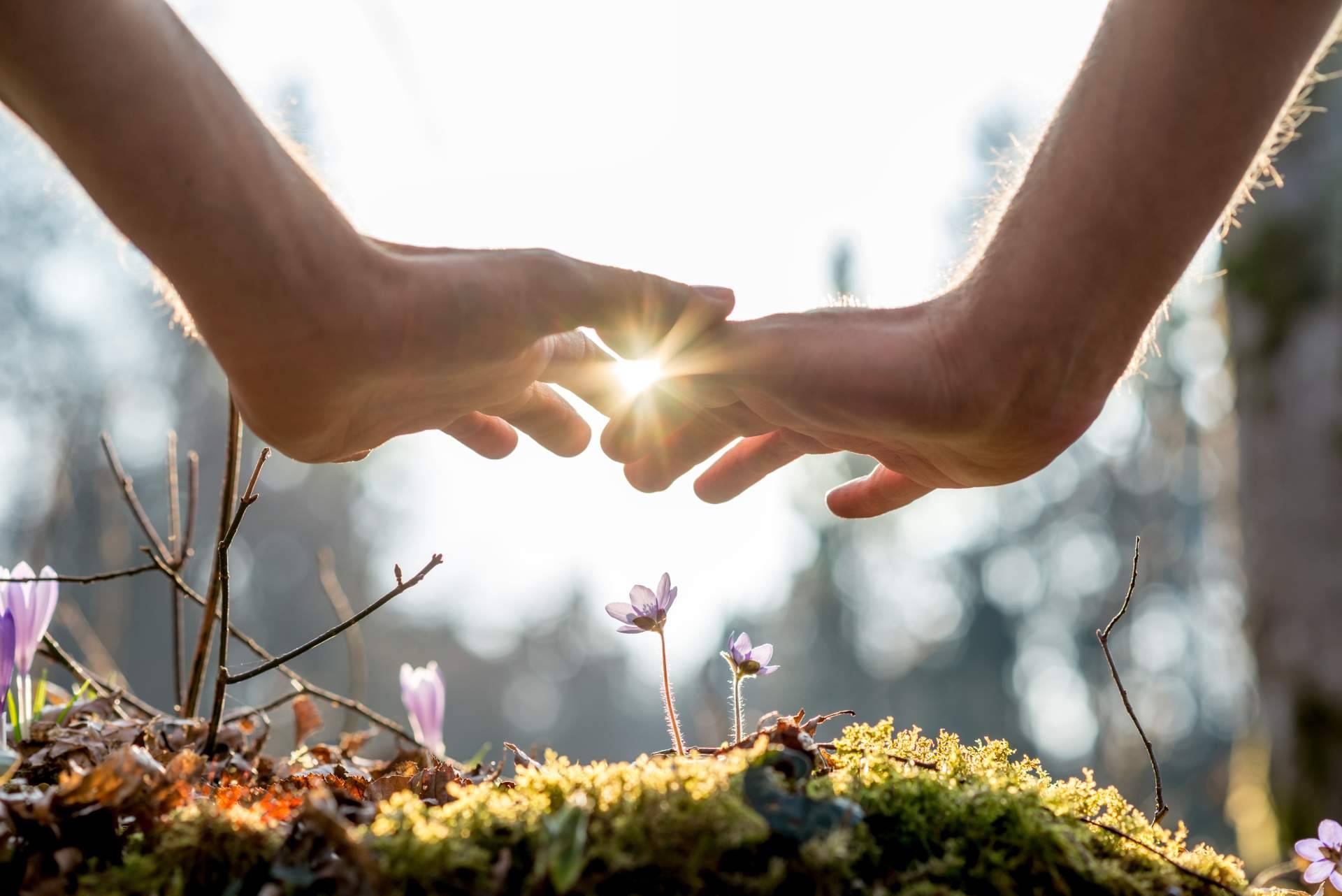 Sanación integral basada en la recuperación del equilibrio del ser