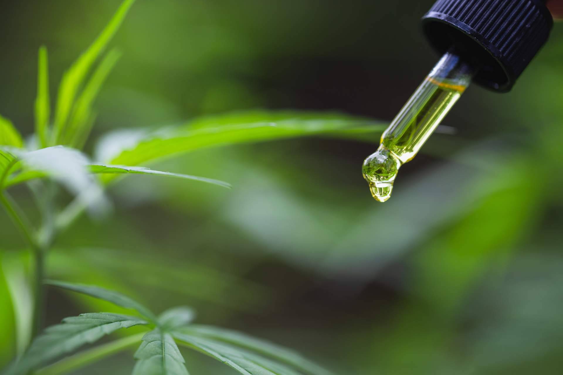 Tratar la depresión con los aceites de CBD del variado catálogo de CBD Rocks