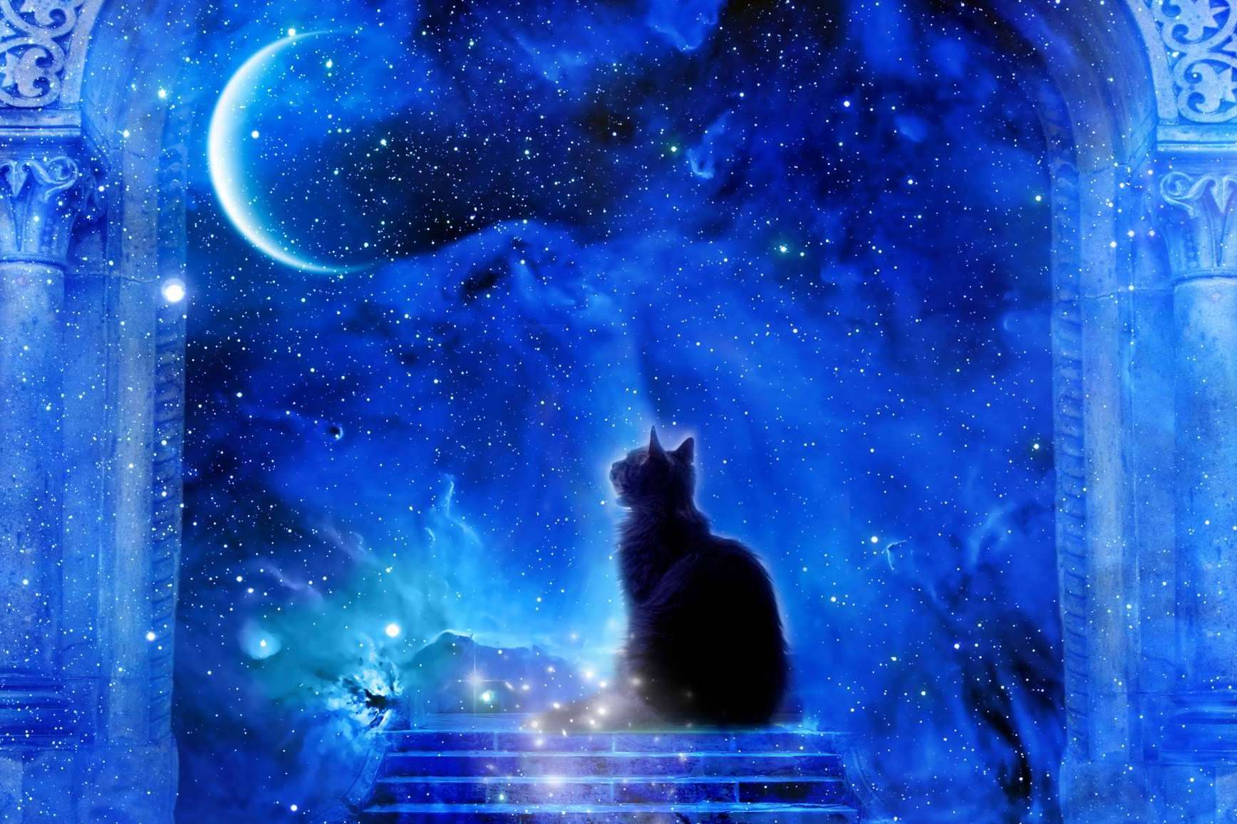 Dama Mágica ofrece una consulta de tarot gratuita de 9 a 10 horas de la noche