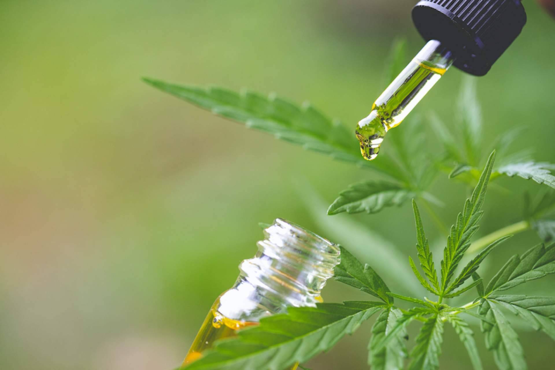 Cuidado personal con CBD se ofrece en CBD Torrejón de Ardoz.