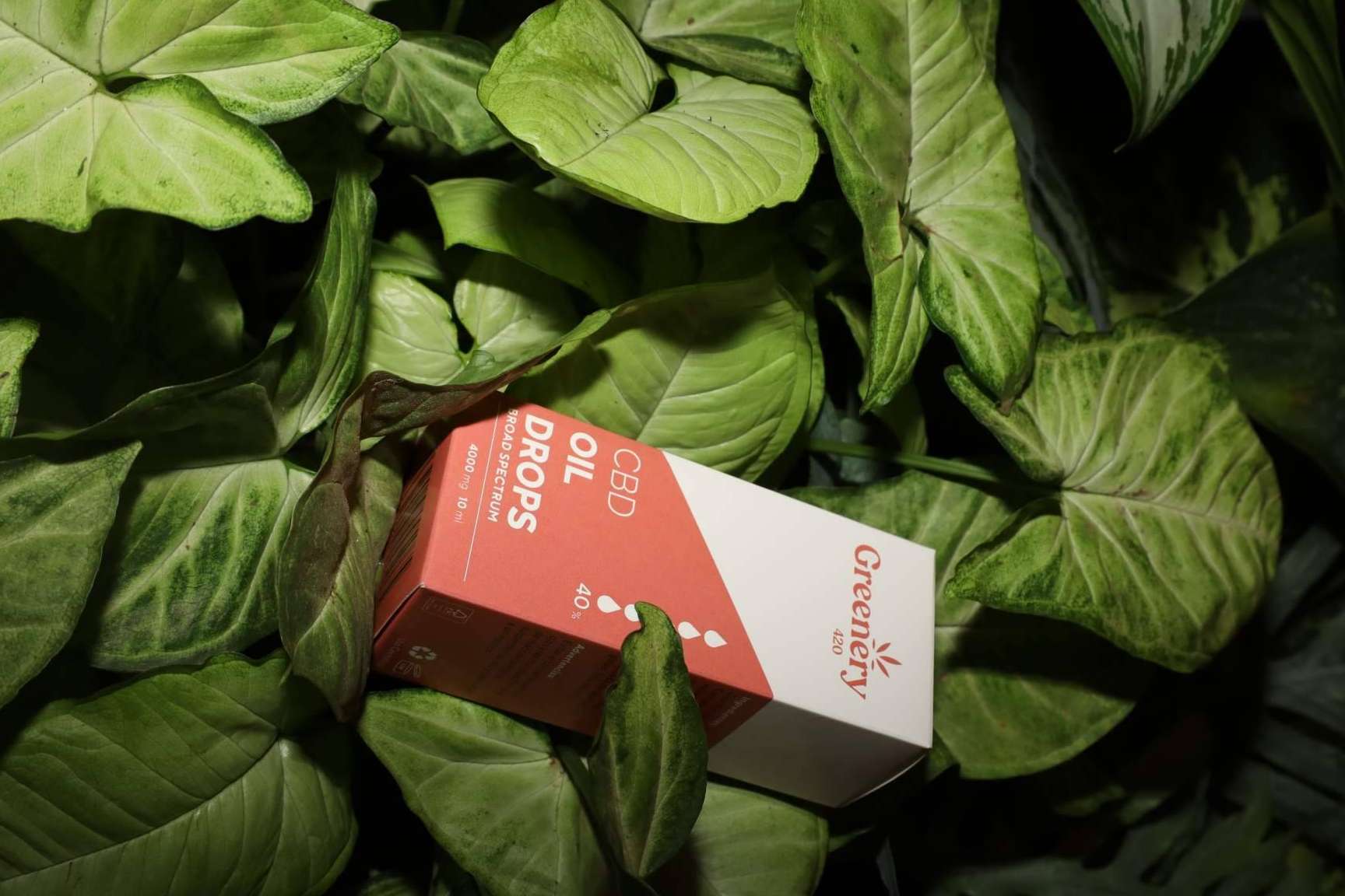 En el Día del Cannabis, Greenery 420 visibiliza el papel del CBD y la demanda de avances legislativos